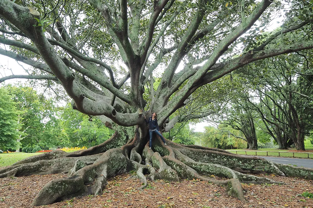 margotgausch_P1032484